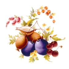 Herend Fruits - CFR design motif 11